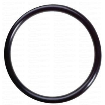 ORING YANMAR 24341-000125 SD